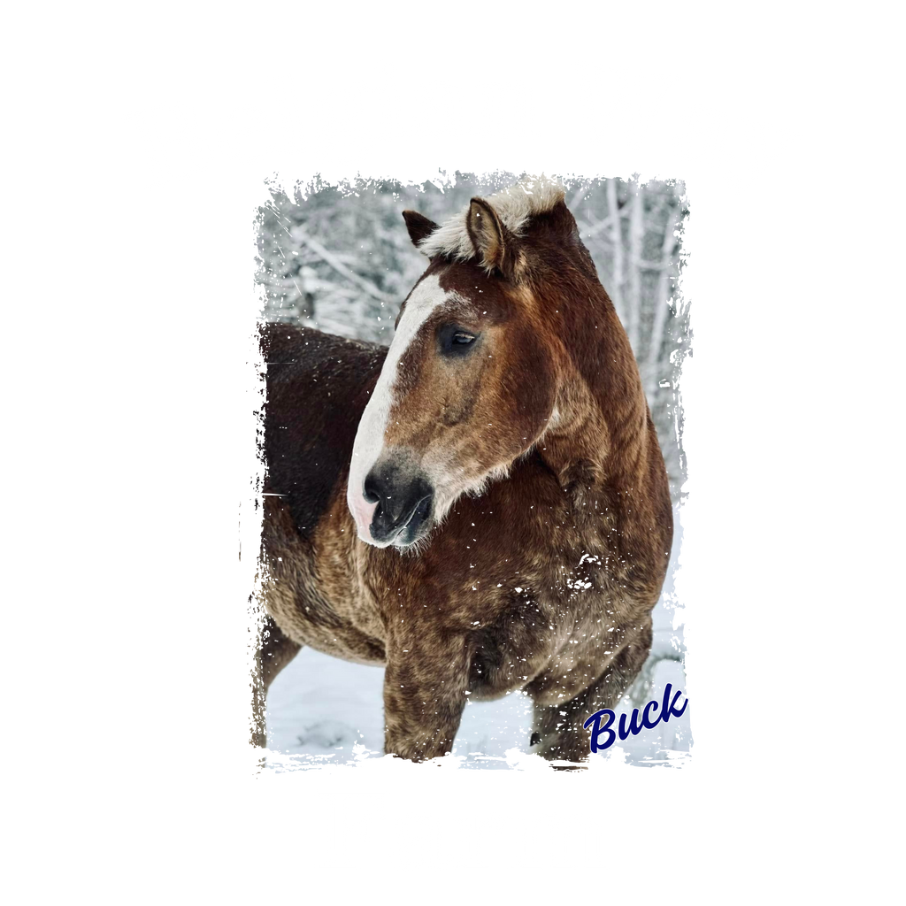 Belgian Way Farm Tank Tops
