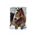 BWF Long Sleeve