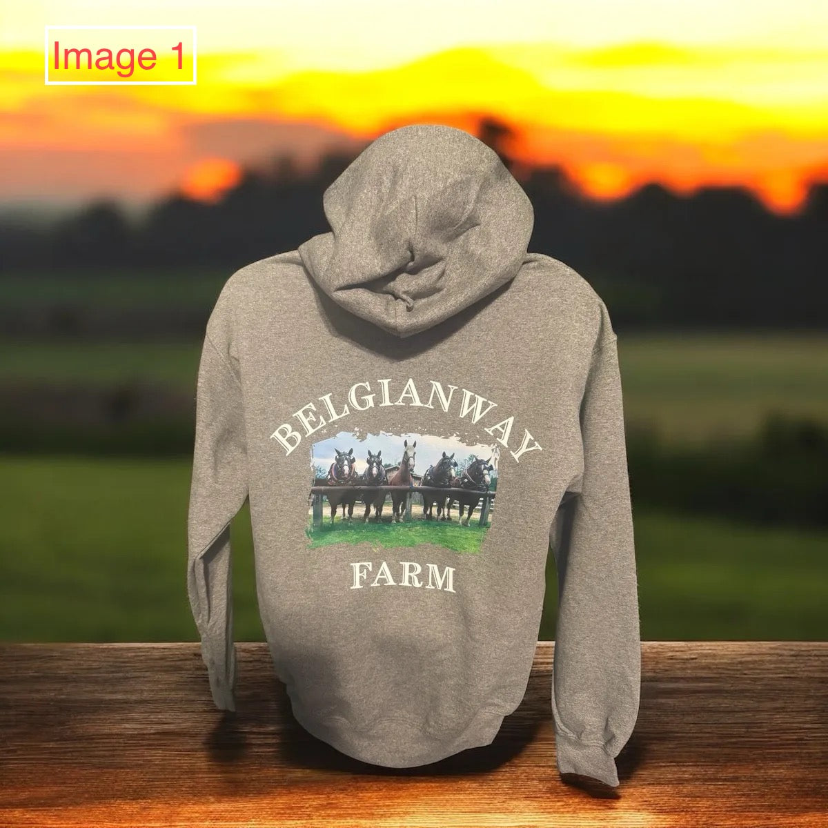 BWF Zipper Hoodies
