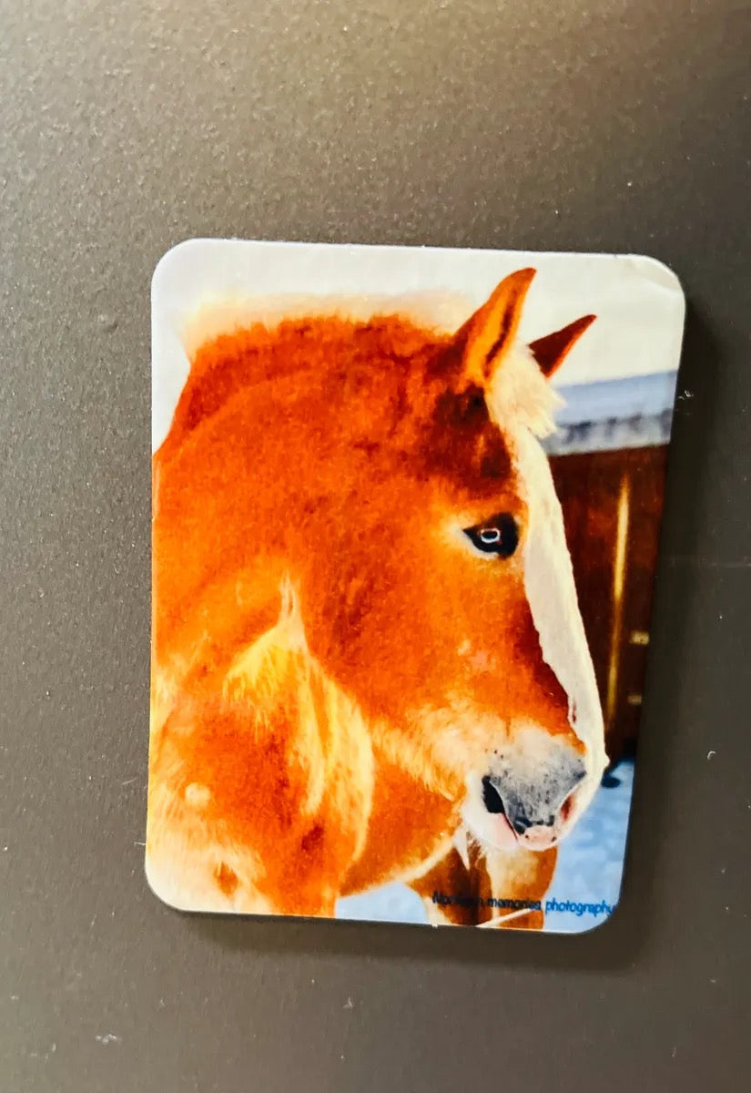 Belgian Way Farm Magnet