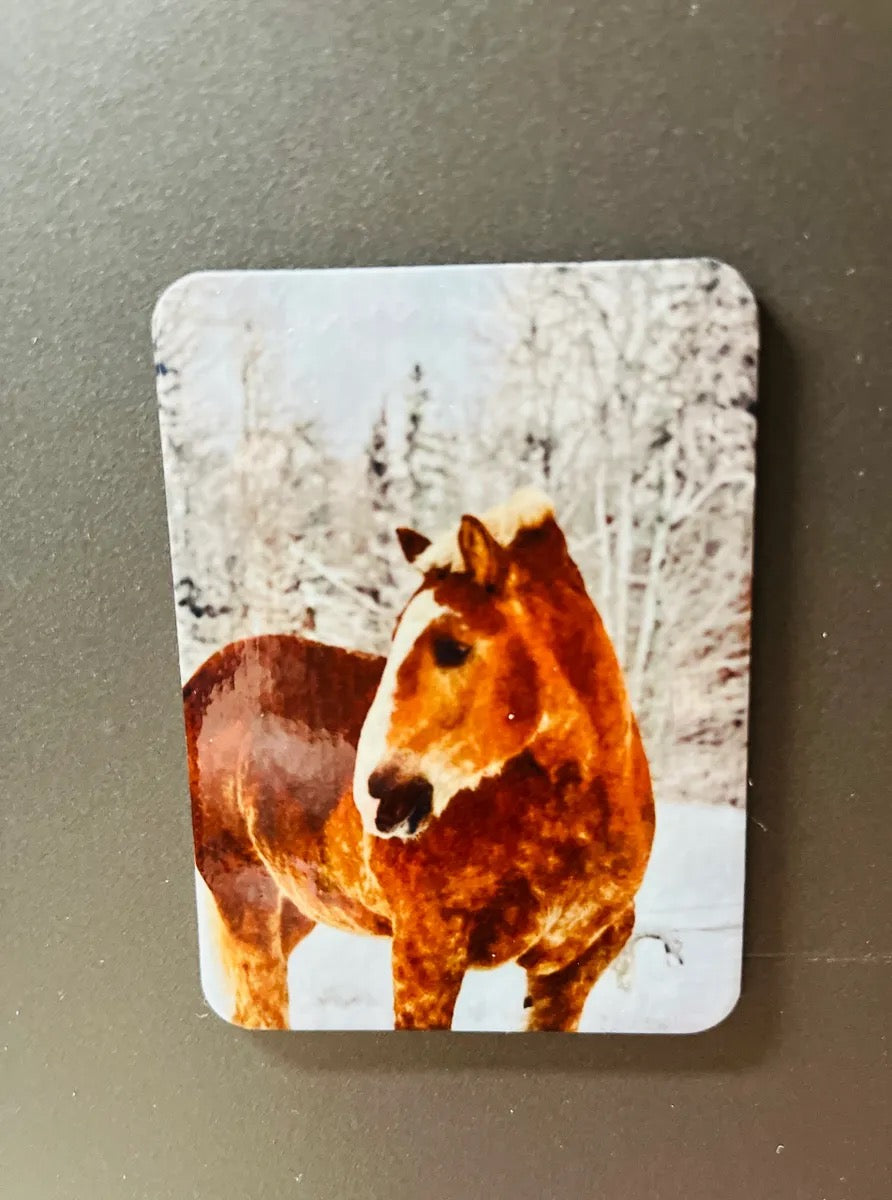 Belgian Way Farm Magnet