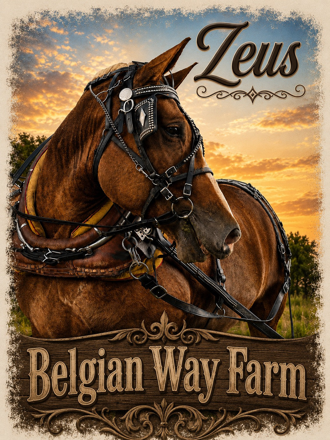 Belgian Way Farm Zeus T-Shirt